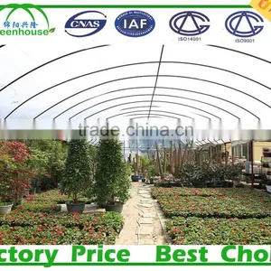 Low Cost 100,150,200 Micron Tunnel Multi Span Plastic Film Agricultural Commercial Greenhouse thumbnail-2