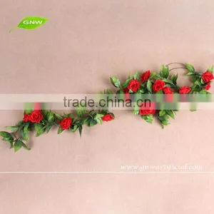 GNW FLV09 Indian Rose Flower Use for Balloon Flower Root Extract or Other Occasion thumbnail-1