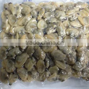 Frozen Boiled Baby Clam Meat thumbnail-3