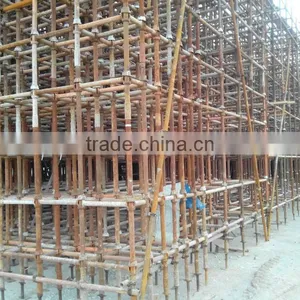 High Quality Steel Tubular Scaffolding Cuplock Scaffolding thumbnail-1