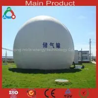Waste Treatment Big Size Biogas System thumbnail-3
