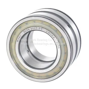 WSBC Sealed Double Row Full Complement Cylindrical Roller Bearings SL04 5016 PP thumbnail-1