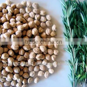 Bulk Fresh Chickpeas thumbnail-1