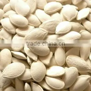 Snow White Pumpkin Seeds thumbnail-1