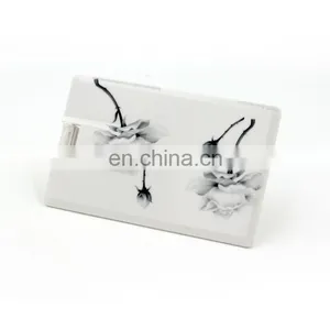 Shenzhen Factory Credit Card USB Memory Sticks  Plastic Usb Card Flash Drive With Printing Logo thumbnail-3