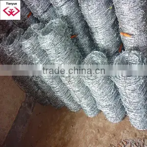 General Galvanized Barbed Wire Fence/Electro Galvanized Barbed Wire Fence/real Factory in Anping thumbnail-4
