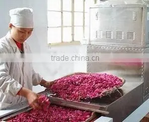 Automatic High Quantity Microwave Vegetable Drying Equipment thumbnail-1