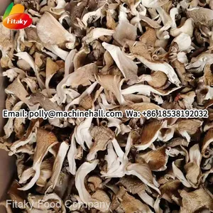 High Quality Dried Oyster Mushrooms Wholesale Price thumbnail-1