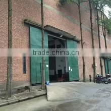 Chongqing Lilliput Technology&Trade Co., Ltd. company overview - view 1 thumbnail
