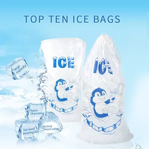 Transparent Poly LDPE Durable Food Grade Plastic Ice Bags for Ice Cube Packing Storage With Printing thumbnail-1