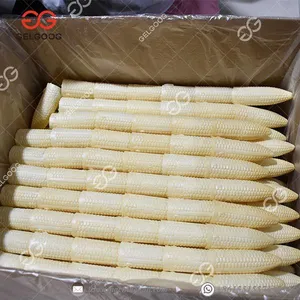 Gelgoog Automatic Chocolate Ice Cream Mini Cone Production Line thumbnail-1