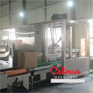Snack Bags Case Packer Machine and Packaging Line thumbnail-1