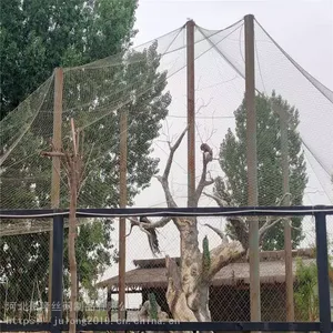 Chinese Manufacturer Stainless Steel Wire Rope Mesh Net for Pedestrian Overpass Railing Protection thumbnail-5