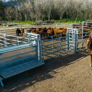 Portable Hot Dip Galvanized Steel Livestock Cattle Panels Safety Fencing Horse Yard Fence 6ft Folding Eco-Friendly Powder Fence thumbnail-5