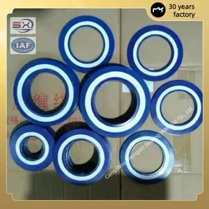 Factory Direct Metal Spiral Wound Gaskets at Competitive Prices thumbnail-1