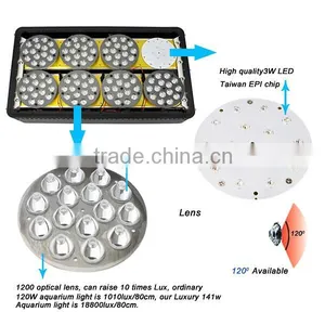 Useful New Arrival 170w Brightness Cob Led Grow Light thumbnail-4