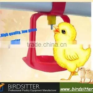 Bird Water Drinkers thumbnail-1