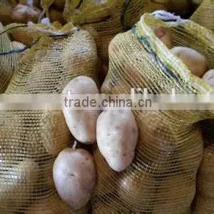 New Crop Potato Export With Competitive Export Price thumbnail-1