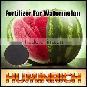 Huminrich Shenyang Insoluble Slow Release SH9001-4 Humic Acid Powder thumbnail-1
