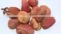 High Quality Paphia Nuts thumbnail-1