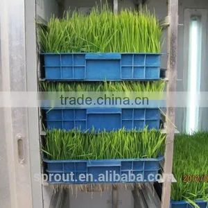 Farm Favorite Green Organic Fodder Growing Machine thumbnail-5