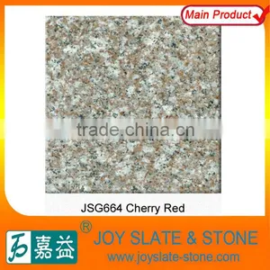 Polished Slabs Decoration Granite Outdoor Floor Tiles thumbnail-1