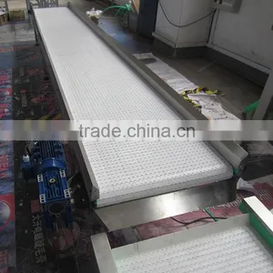 PP Food Belt Conveyor for Food Indusctry thumbnail-3