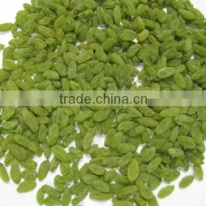 China Hot Sale AD Sweet Dried Green Raisins for Sale thumbnail-2