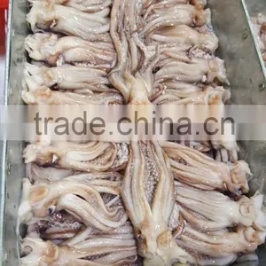 Squid Tentacle (Todarodes Pacific Squid) thumbnail-1