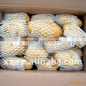 New Holland Potato thumbnail-1