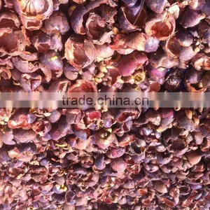 Vacuum Freeze Dried Mangosteen Rind 100% thumbnail-1
