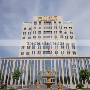 Hebei Pingle Flour Machinery Group Co., Ltd. company overview - view 3 thumbnail