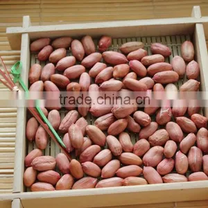 Groundnut Peanut Kernels thumbnail-3
