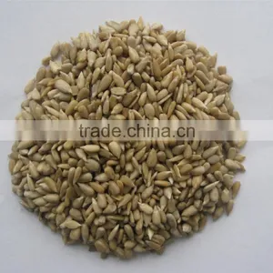 Wholesale Delicious Pumpkin Seeds Kernels thumbnail-4
