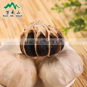 Losing Weight Black Garlic Improving Immune Function thumbnail-5