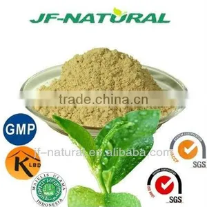 Natural Green Tea Liquid Manufacture With Good Quality thumbnail-3