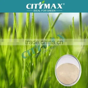Amino Acid With High Purity thumbnail-1