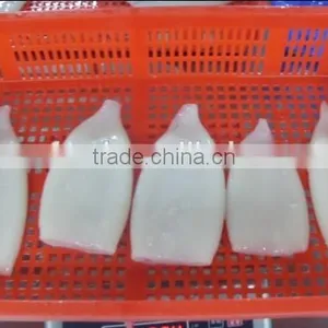 High Quality Clean Chemical Treated Illex Squid Tube thumbnail-1