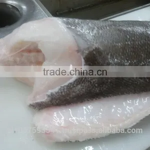 Patagonian Toothfish or Real Chilean Seabass thumbnail-2