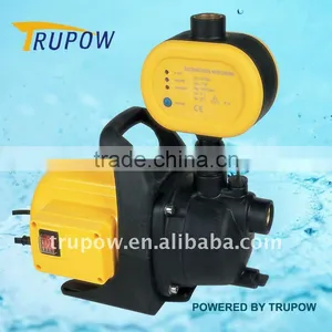 Garden Pump With Pressure Control Switch thumbnail-1