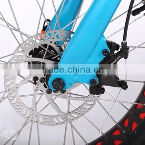New Design Wholesale 20 Inch Electric Bike Fat Tire Electric Bike thumbnail-5