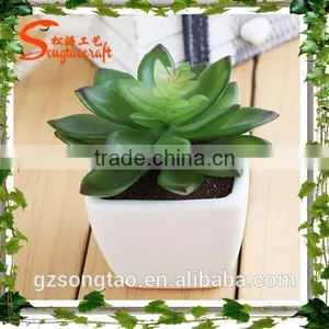 Mini Ornamental Artificial Plants Succulent Plant for Decoration Wholesale thumbnail-1