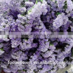 Fresh Cut Statice Good Quality Cut Flower Myosotis From Kunming thumbnail-2