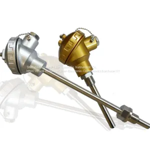 HCS-300 Temperature Transmitter thumbnail-1