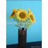 Dried Flower thumbnail-1