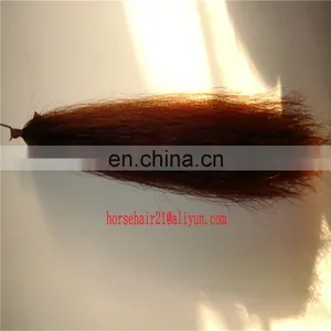HORSE Tail Hair for Brush thumbnail-6