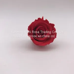 A Grade Everlasting Fresh Flower Decoration Rose Preserved Rose Head thumbnail-2