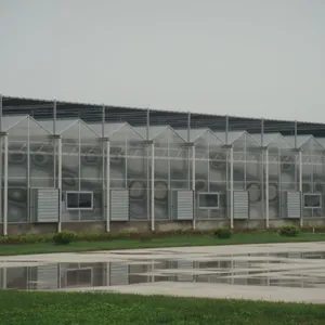 Commercial Air Ventilation Industial Extractor Fan for Poultryhouse thumbnail-3