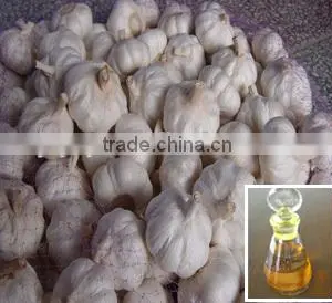 Hot Sale Garlic Oil for Food and Pharmaceutical Grade thumbnail-1