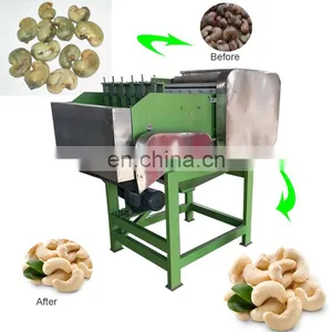 Cameroon Cashew Nut Packaging Cashew Peeling Machine in China thumbnail-2